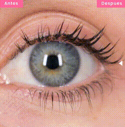 Dúo Potente para Cejas y Pestañas – Con Vitamina E y Aceites Naturales