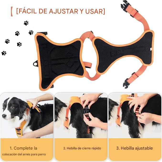 Arnés Ajustable y Seguro con Correa Oculta – Fácil de Usar