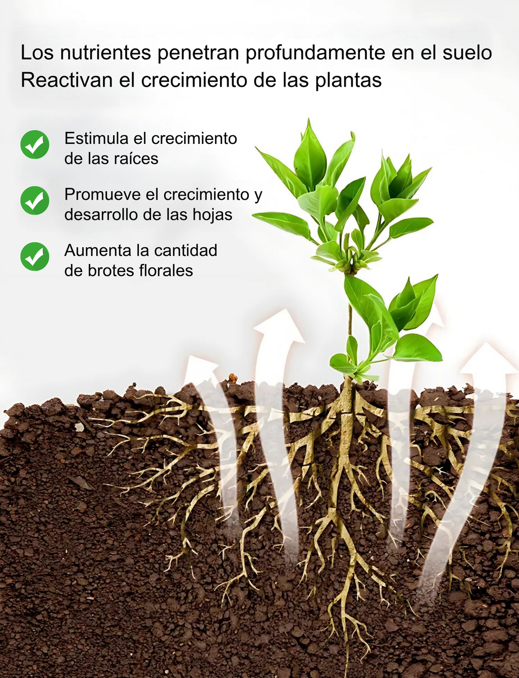 Fertilizante Orgánico Granulado para Verduras y Flores – Alta en Potasio