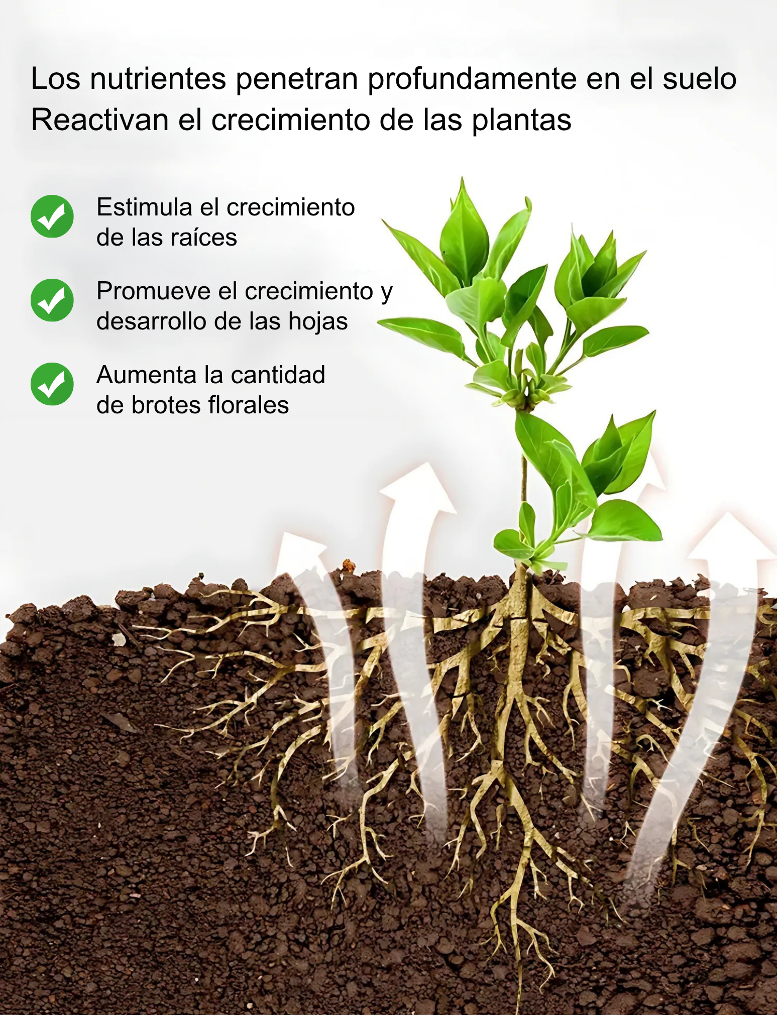 Fertilizante Orgánico Granulado para Verduras y Flores – Alta en Potasio