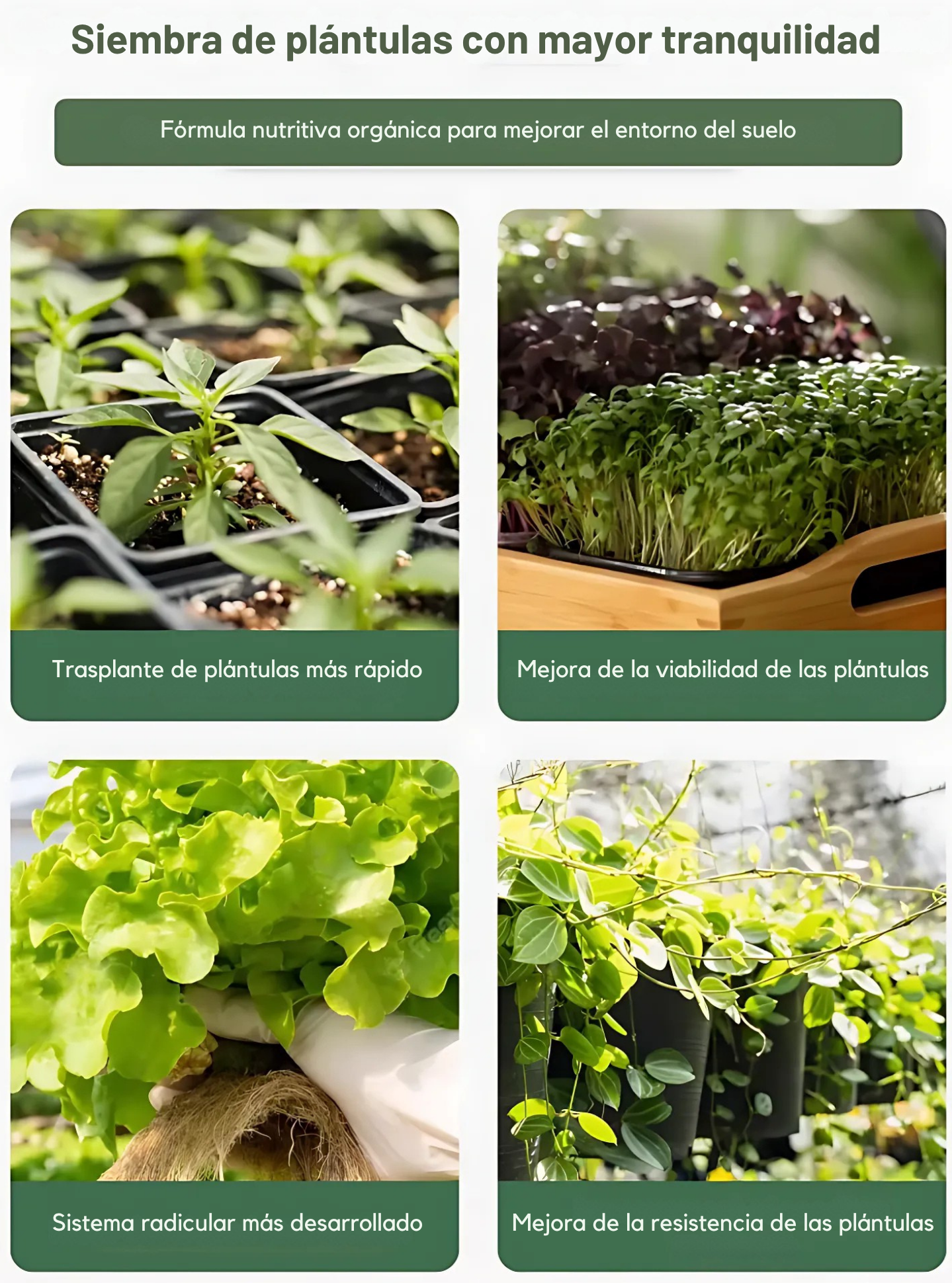 Fertilizante Orgánico Granulado para Verduras y Flores – Alta en Potasio