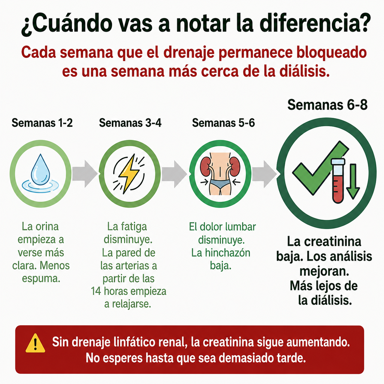 Fórmula para Riñones y Drenaje Linfático Renal