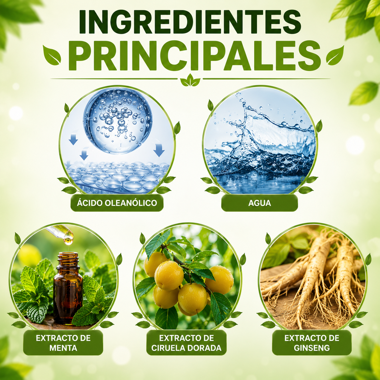 Limpieza pulmonar herbal Respira: ¡Respire libremente de nuevo sin congestión, tos ni molestias respiratorias!
