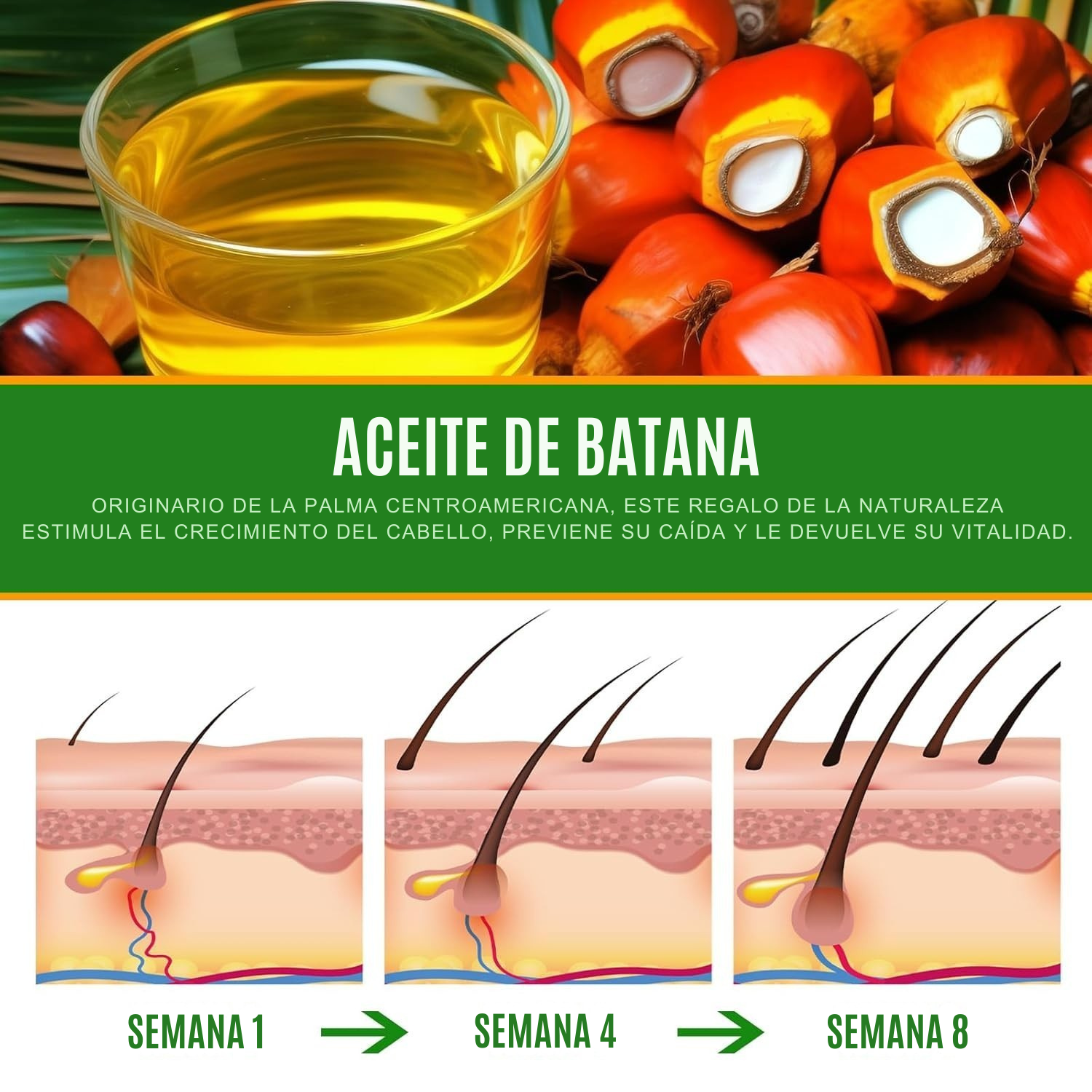 Aceite Batana Original – Tratamiento Natural para el Crecimiento del Cabello