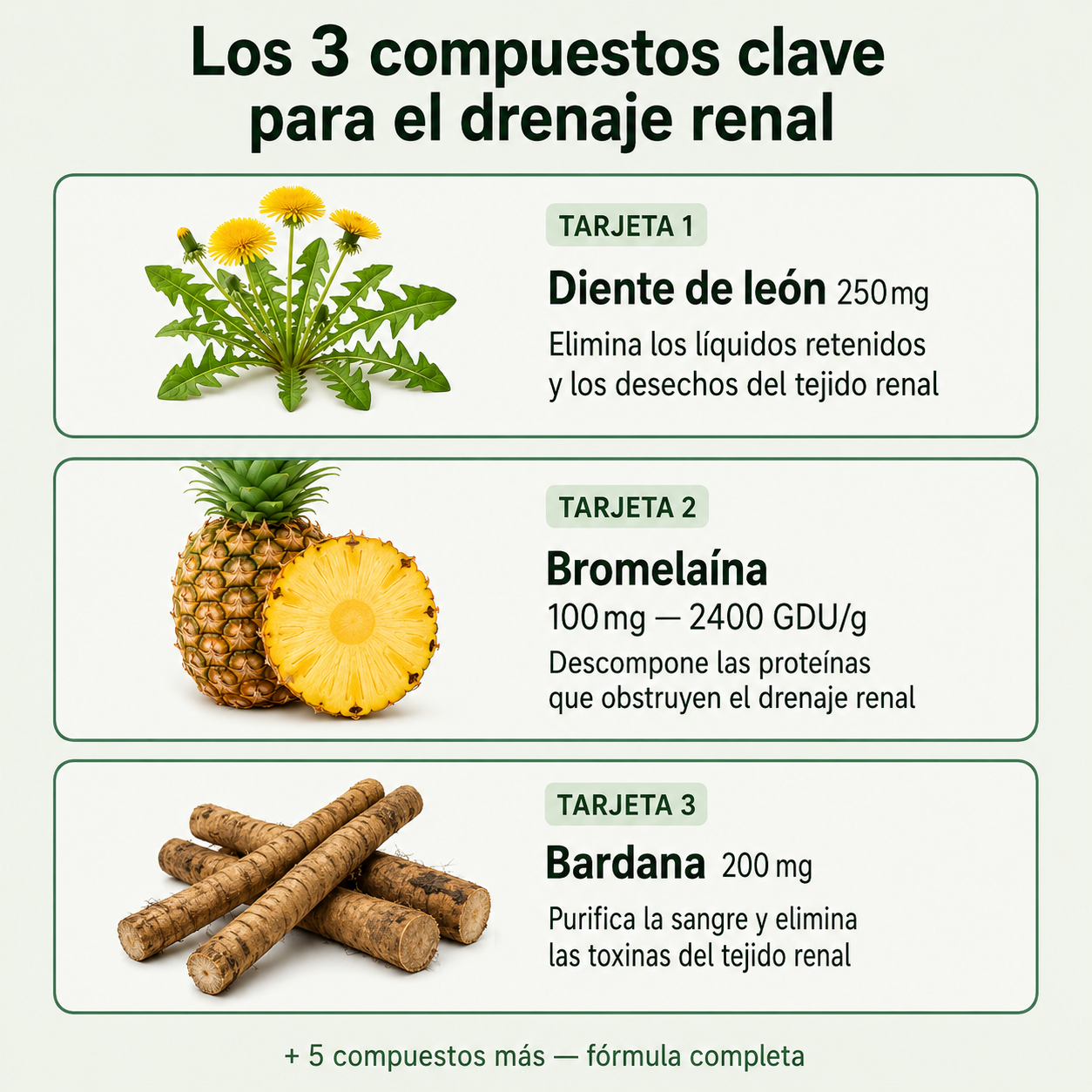 Fórmula para Riñones y Drenaje Linfático Renal