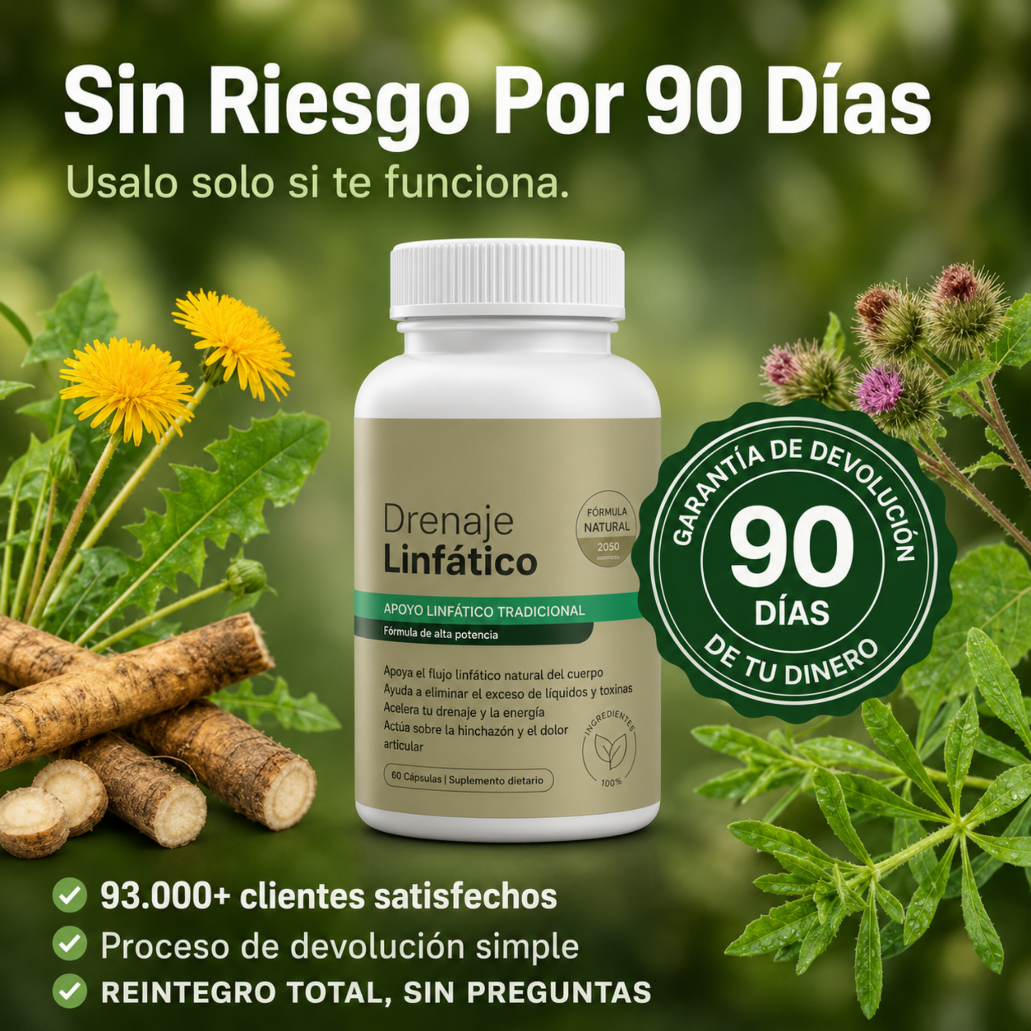 Fórmula para Riñones y Drenaje Linfático Renal