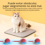 PelotaViva: la pelota inteligente que se mueve sola y convierte cada día en un juego.