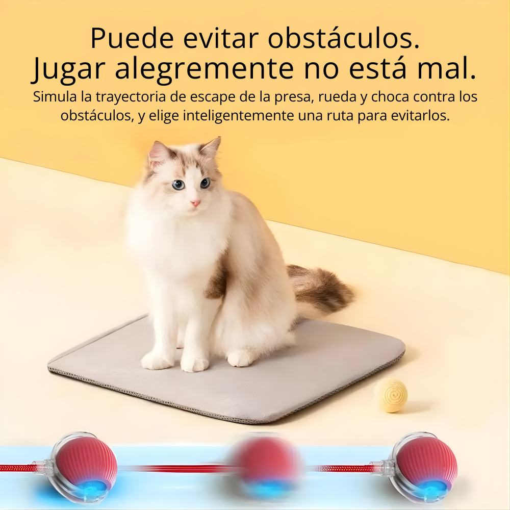 PelotaViva: la pelota inteligente que se mueve sola y convierte cada día en un juego.