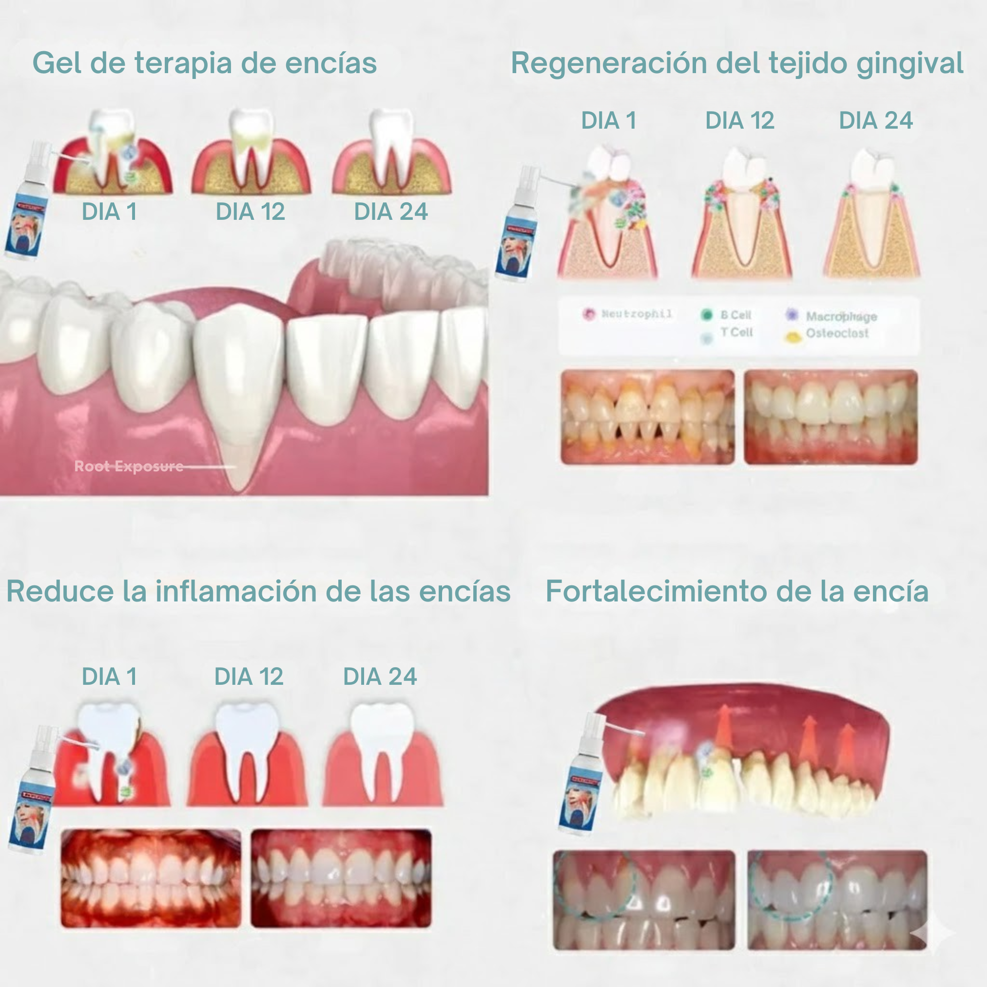 CalmaSmile™ - Alivio rápido para el dolor de dientes, encías y dentaduras.