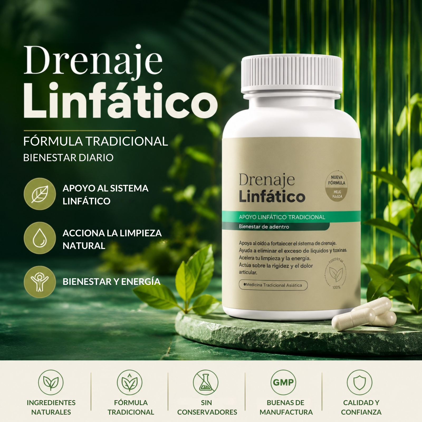Fórmula para Riñones y Drenaje Linfático Renal