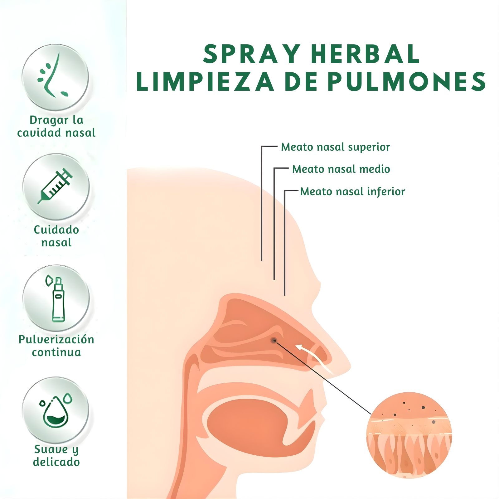 Aire Fresco – Alivio Instantáneo Para Respirar Mejor al Momento