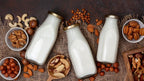 Polvo de Koky: ¡Saborea la bondad pura del coco en cada sorbo!