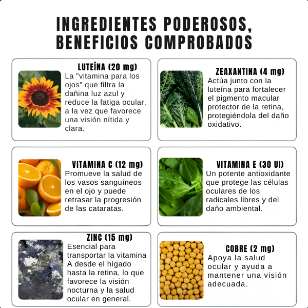 Zooone Protección de la visión