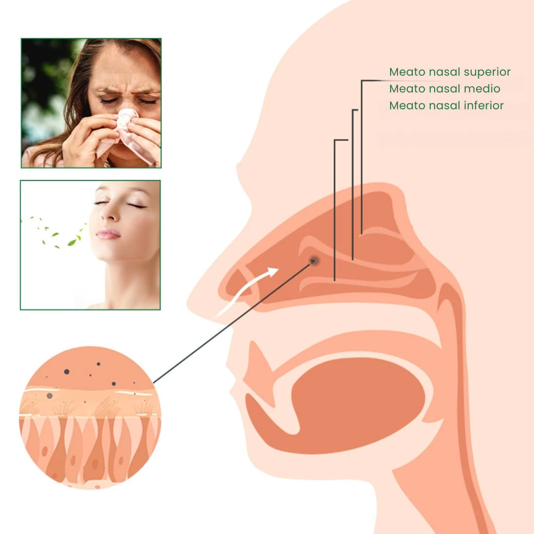 Spray Nasal Natural para el Alivio Respiratorio – Libera tu Aire, Respira con Libertad