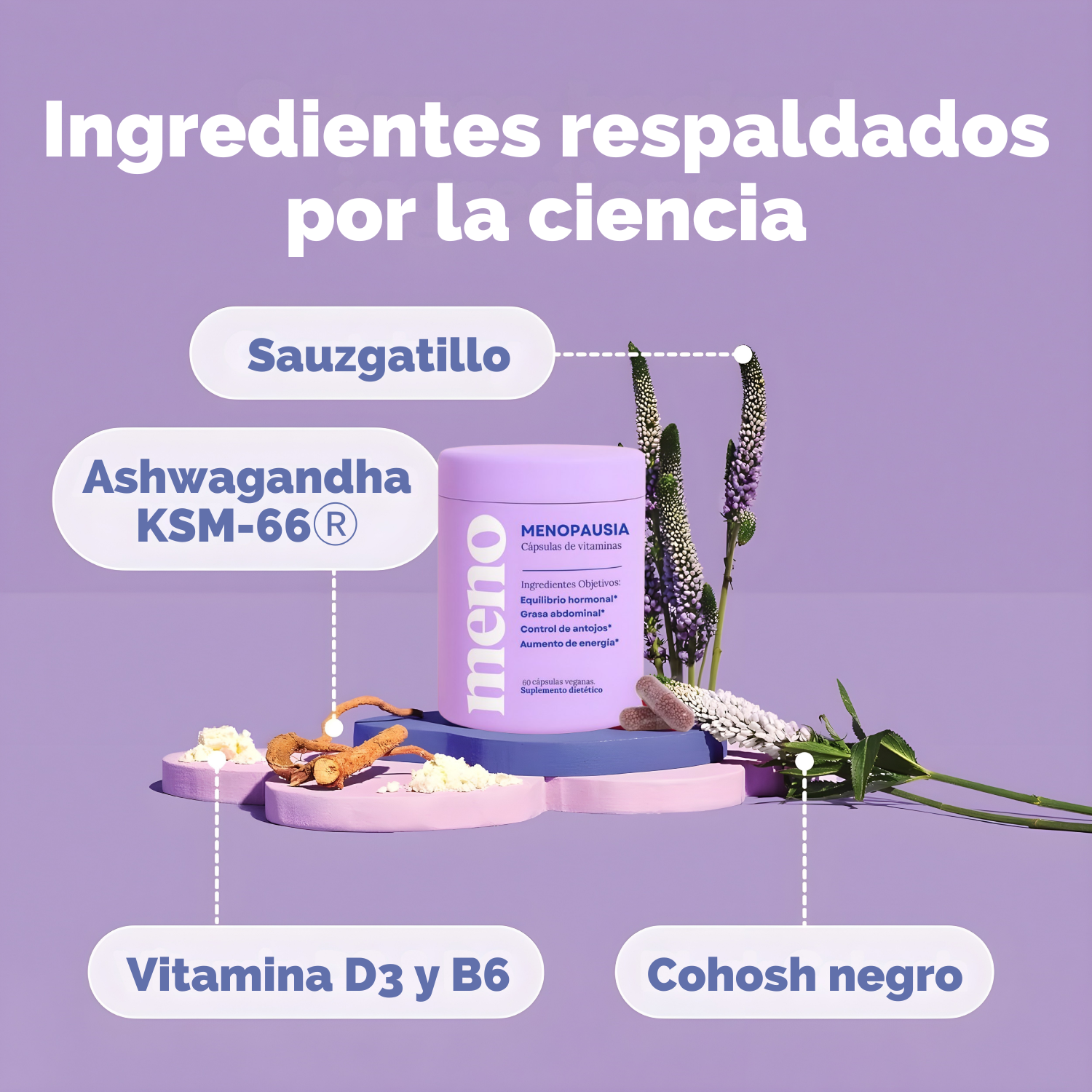 Menopausia Cápsula de Vitaminas