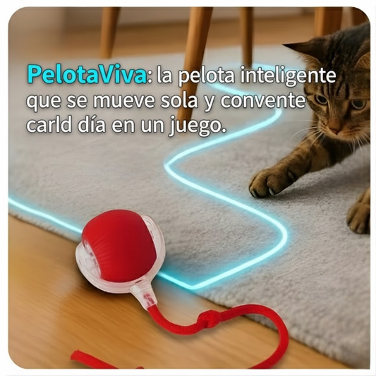 PelotaViva: la pelota inteligente que se mueve sola y convierte cada día en un juego.