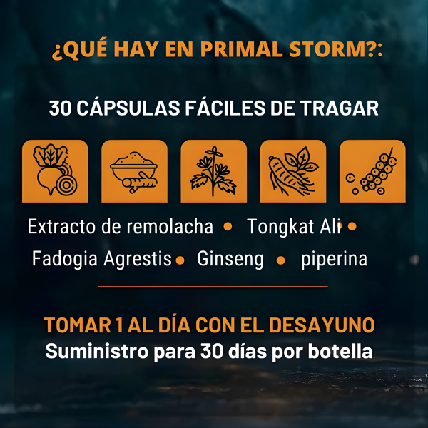 Primal Storm - Cápsulas naturales para el apoyo de la testosterona