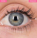 Dúo Potente para Cejas y Pestañas – Con Vitamina E y Aceites Naturales