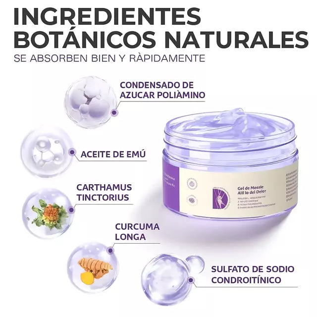 Odalit – Alivio Real, Movimiento Renovado