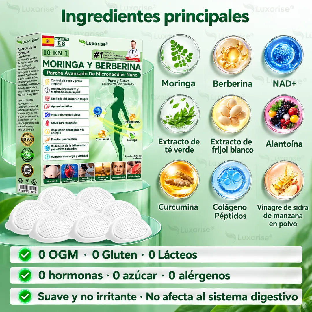 10 EN 1 Moringa Y Berberina Parche - Avanzado De Microneedles Nano