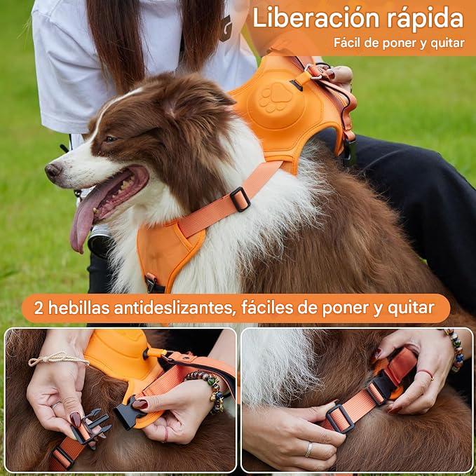 Arnés Ajustable y Seguro con Correa Oculta – Fácil de Usar