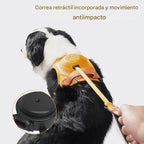 Arnés Ajustable y Seguro con Correa Oculta – Fácil de Usar