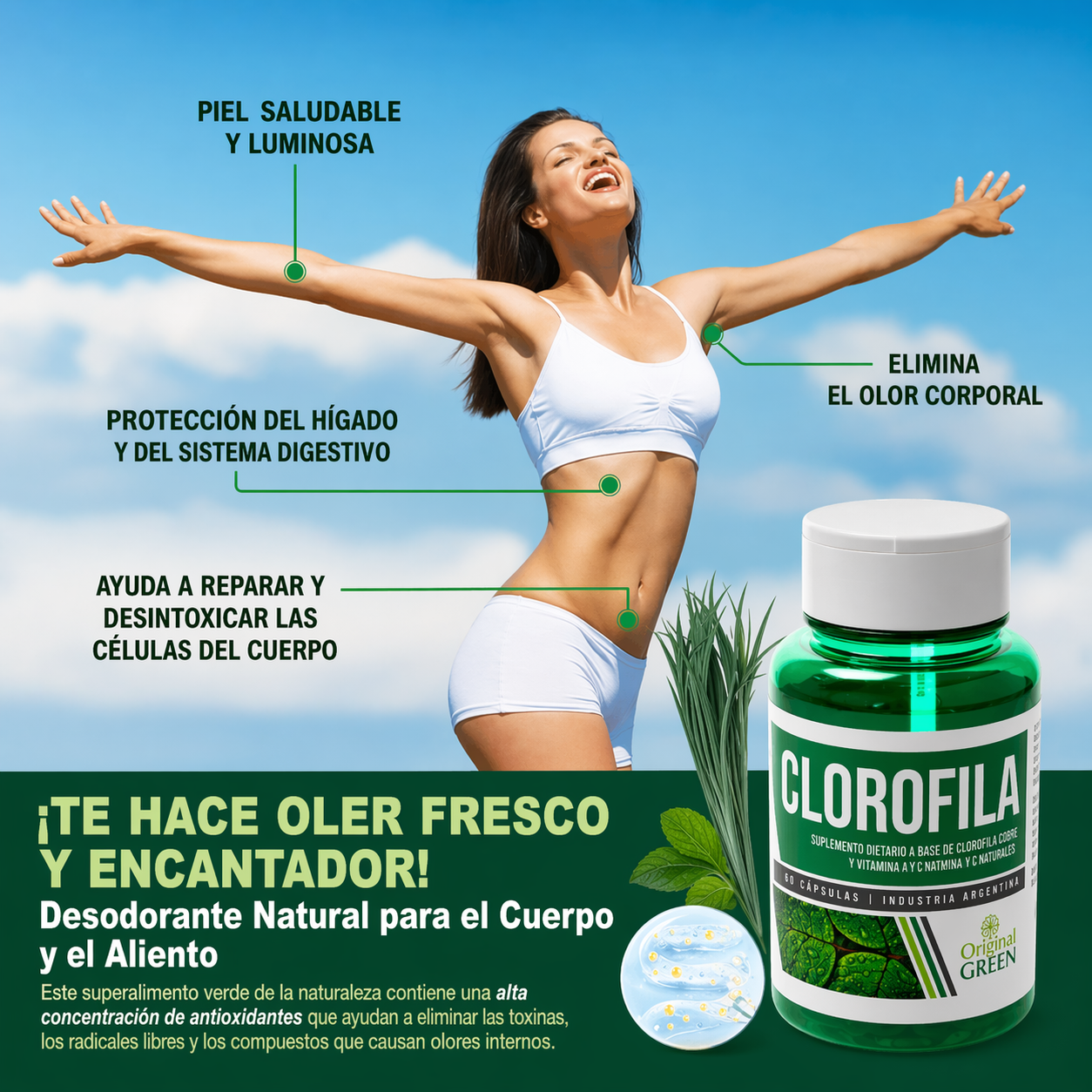 Clorofila Cápsulas – fórmula natural para tu equilibrio interno.