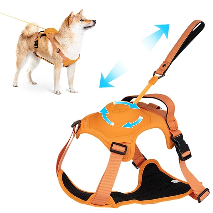 Arnés Ajustable y Seguro con Correa Oculta – Fácil de Usar