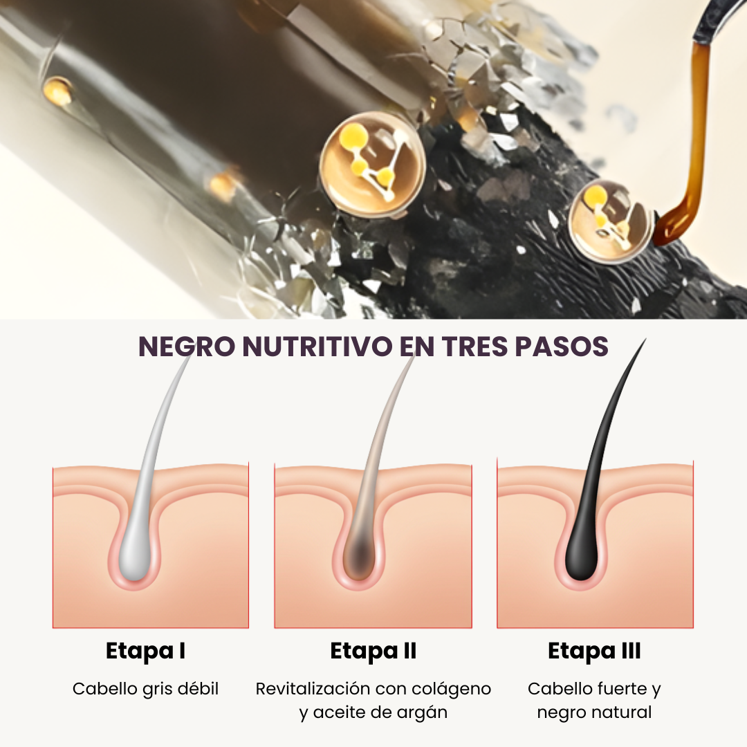 Shampoo que Cubre las Canas al Instante – 100% Natural y Seguro