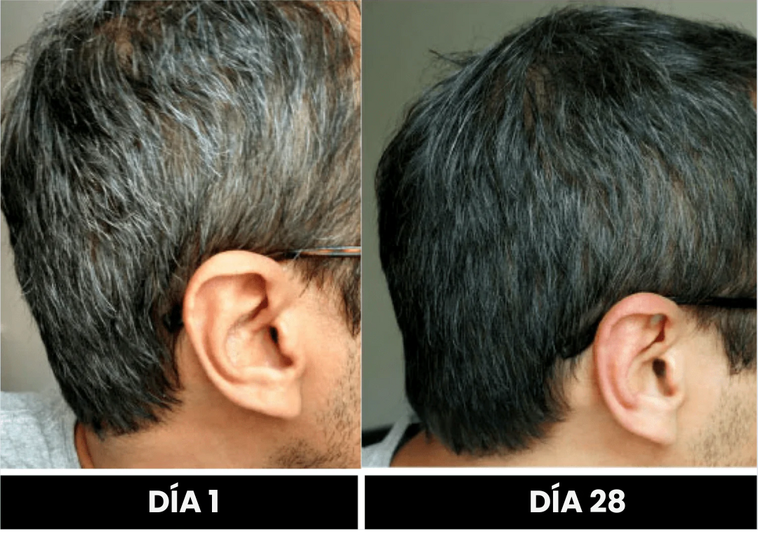 Shampoo que Cubre las Canas al Instante – 100% Natural y Seguro