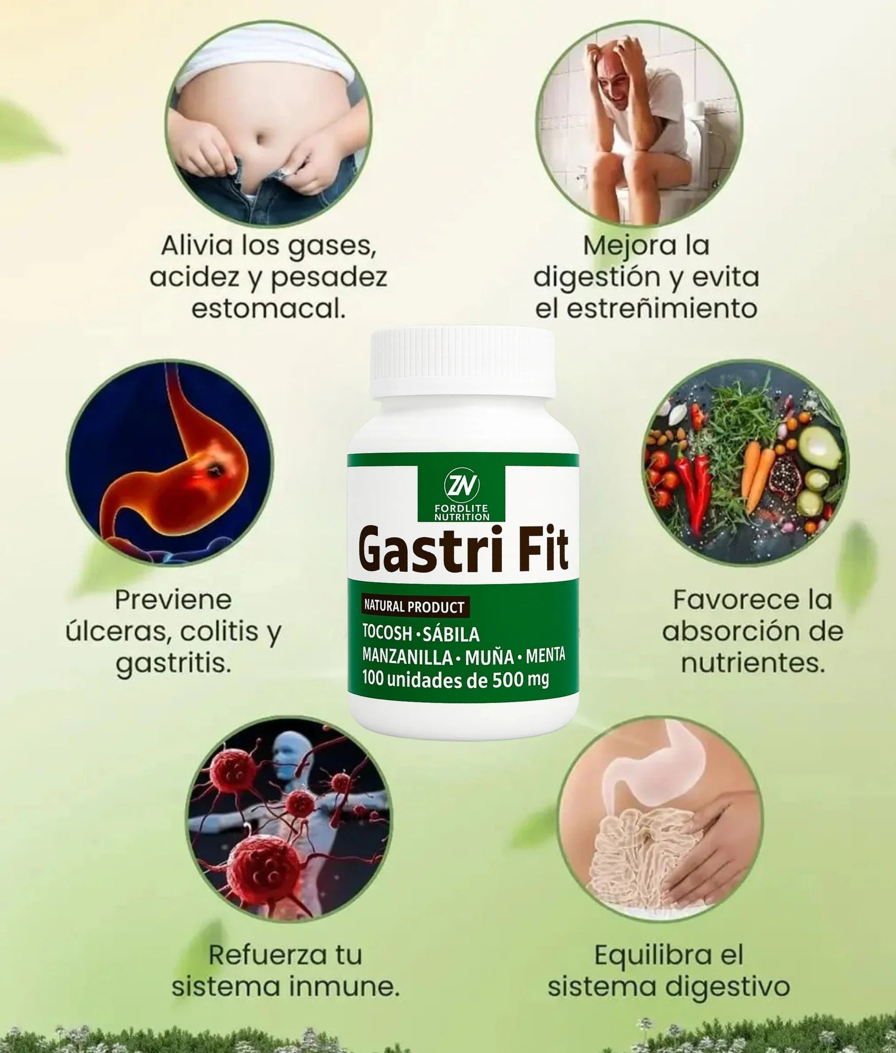 GastriFit: Apoyo natural para la gastritis, el reflujo ácido y la digestión