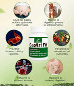 GastriFit: Apoyo natural para la gastritis, el reflujo ácido y la digestión